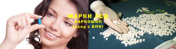 амф Алексин