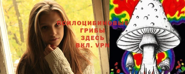 spice Алексеевка