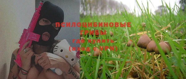 амф Алексин