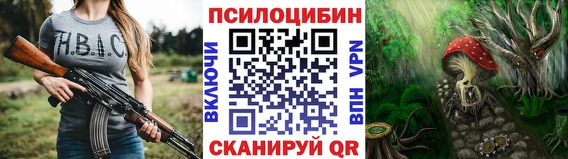 Галлюциногенные грибы Psilocybine cubensis Кудрово