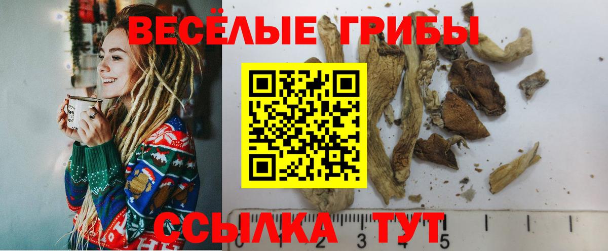 Псилоцибиновые грибы мицелий Кудрово