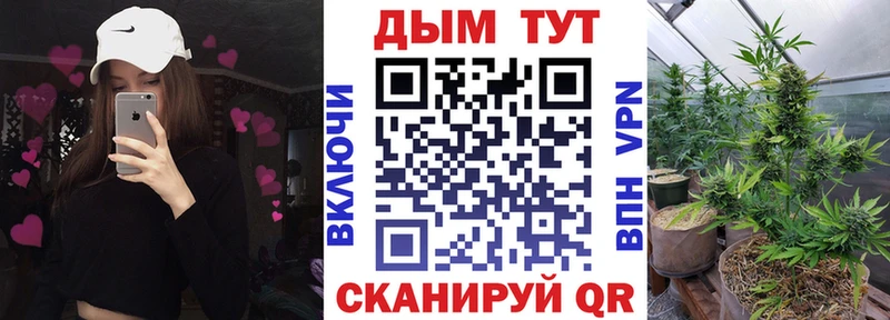 где можно купить   МЕГА как войти  Конопля гибрид  Кудрово 